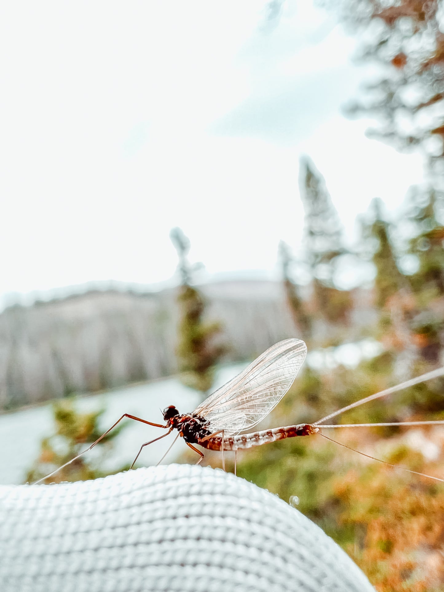 July 18th - Beginner Women's Fly Fishing Clinic