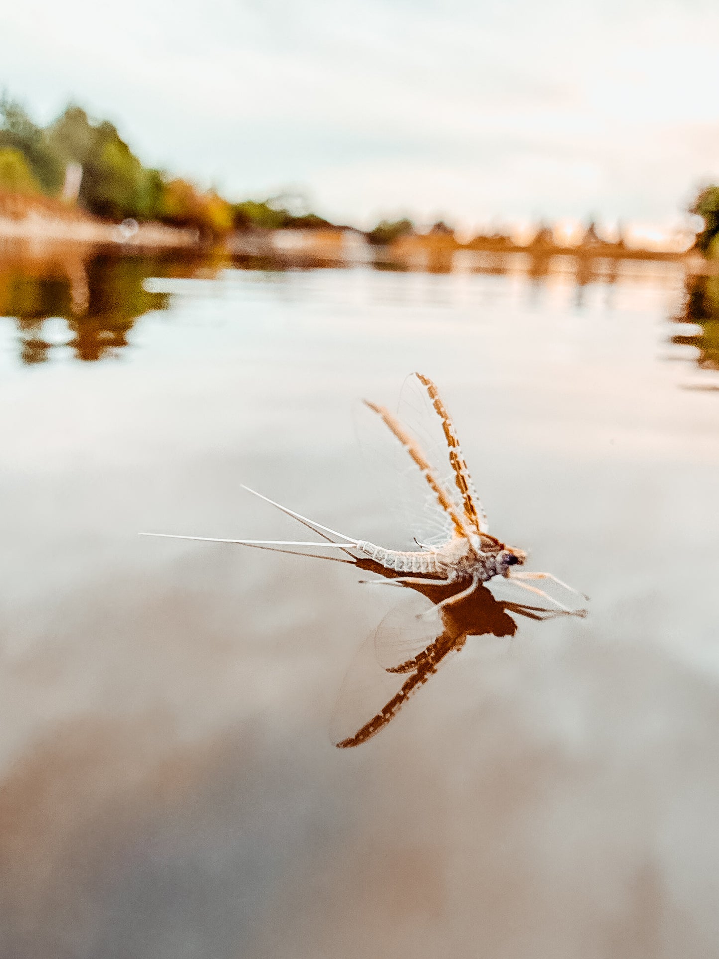 August 22nd - Beginner Women's Fly Fishing Clinic