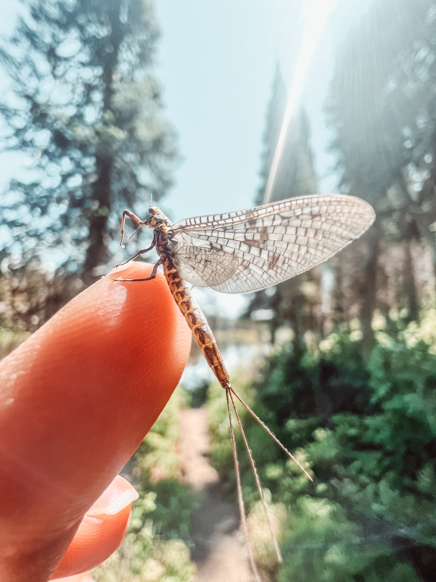 July 19th Women's Intermediate Fly Fishing Clinic