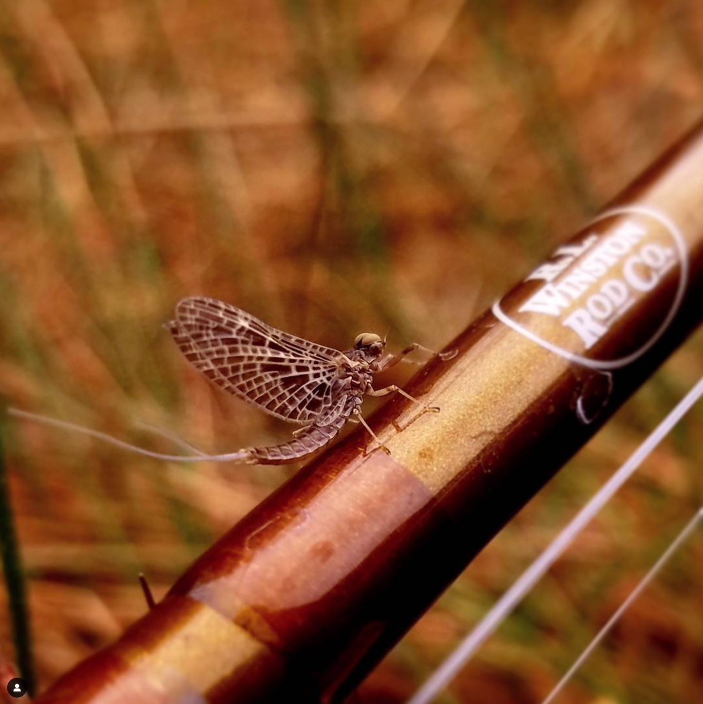 April 19th - Beginner Women's Fly Fishing Clinic