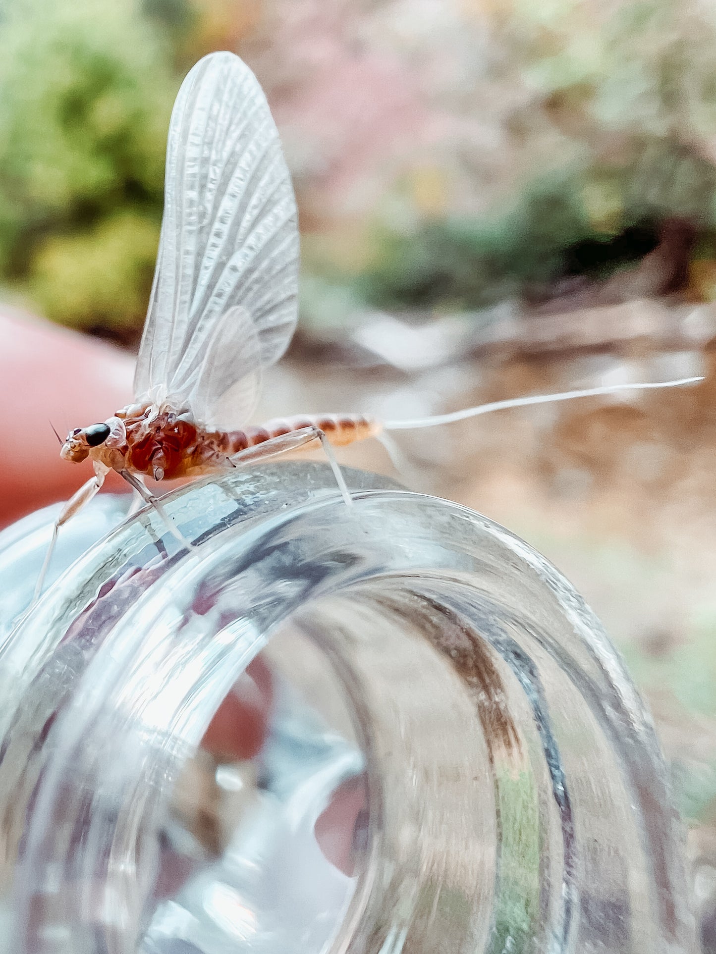 September 26th - Beginner Women's Fly Fishing Clinic