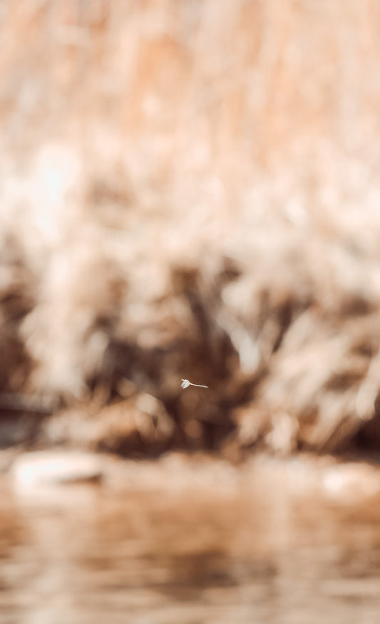 July 20th - Women's Intermediate Fly Fishing Clinic