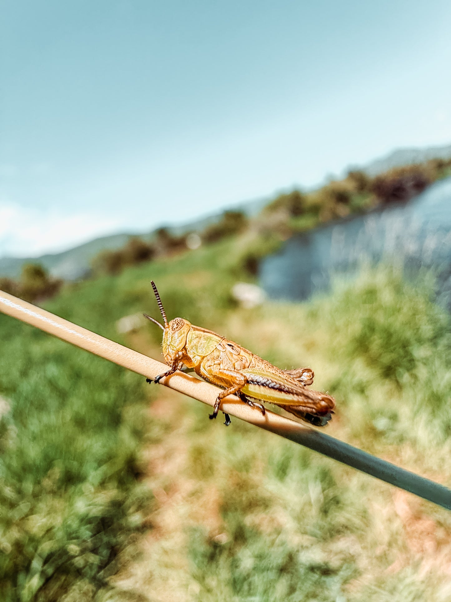 August 9th - Beginner Women's Fly Fishing Clinic