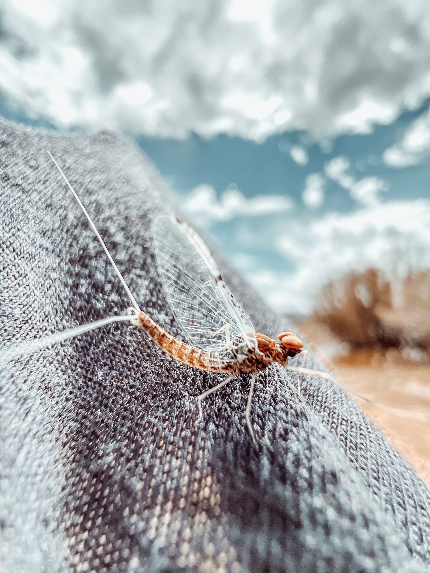 August 16th - Women's Intermediate Fly Fishing Clinic