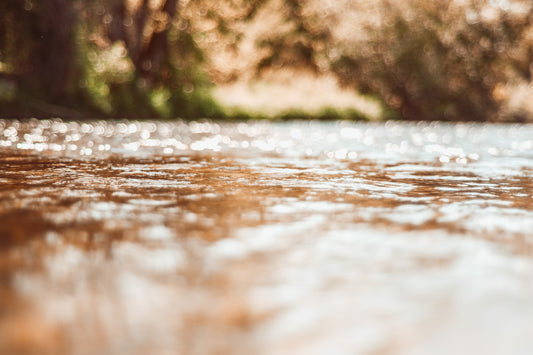 November 8th - Women's Intermediate Fly Fishing Clinic