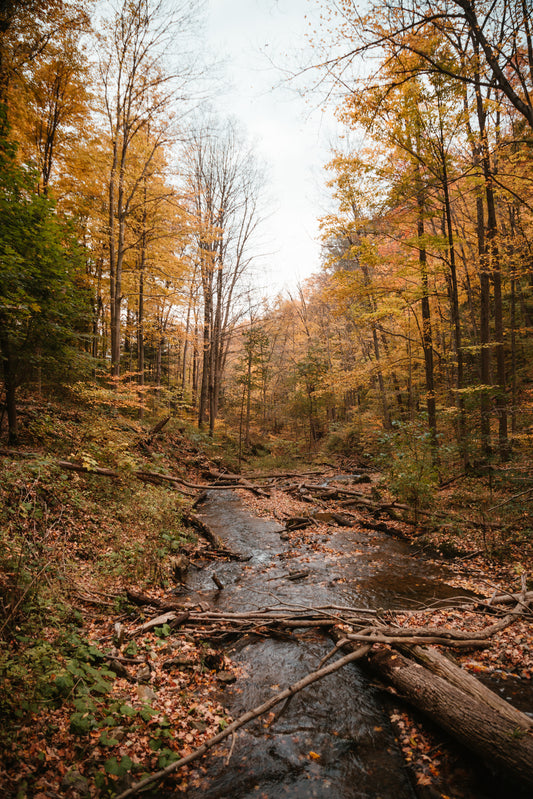 October 18th - Beginner Women's Fly Fishing Clinic